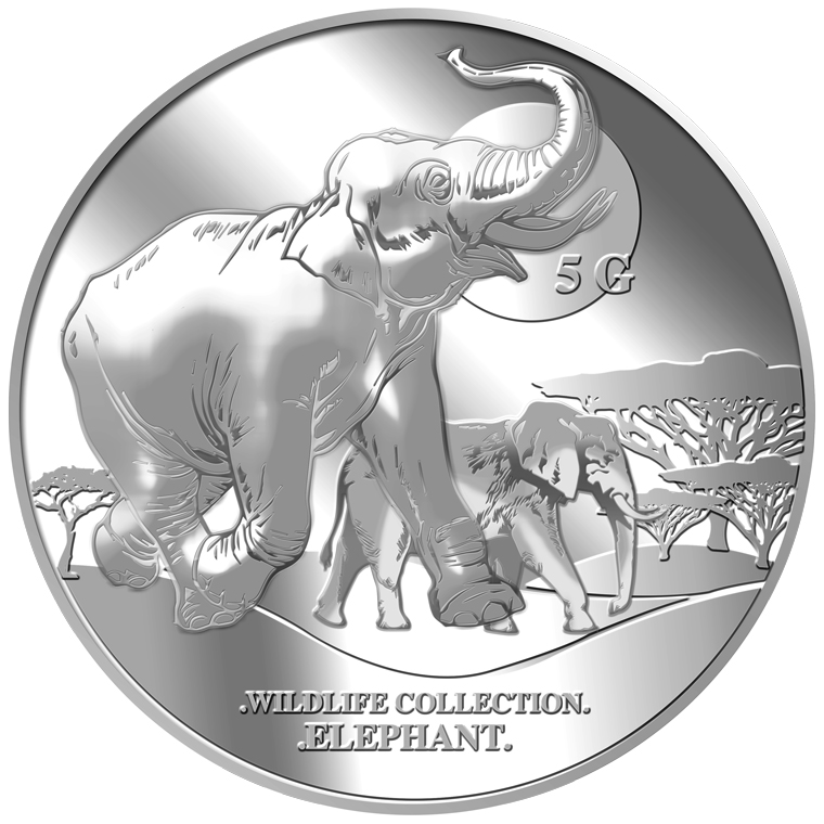 5G Elephant Silver Medallion Keychain - Image 3